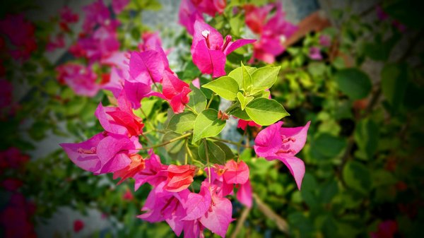 Kit solaire 3000w : solution autonome avec batterie 10kw