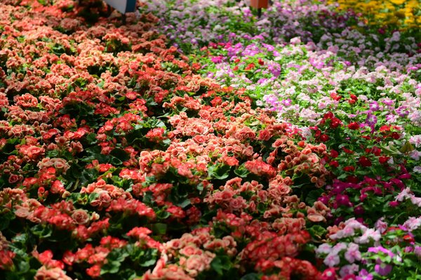 Découvrez les trésors vintage éthiques en brocante en ligne