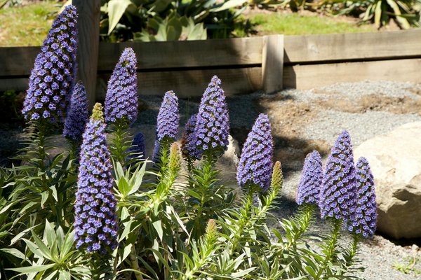 Achetez votre maison de maître en vente aux enchères