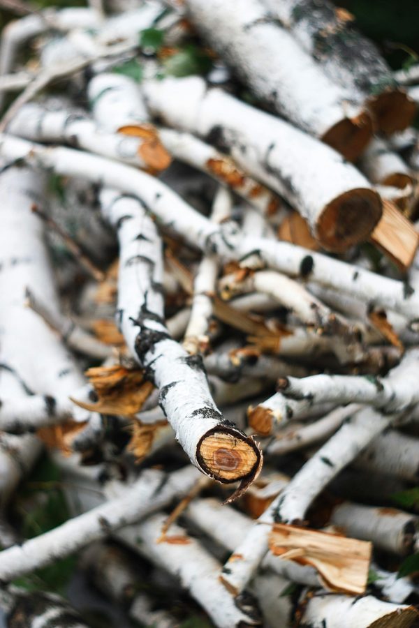 Broyeur de branches et végétaux : guide pratique pour bien choisir