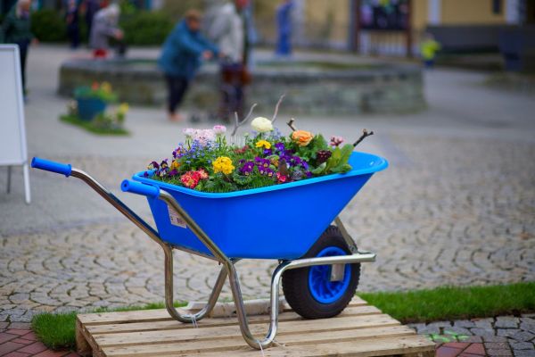 Choisir le bon type de brouette pour chaque tâche de jardinage